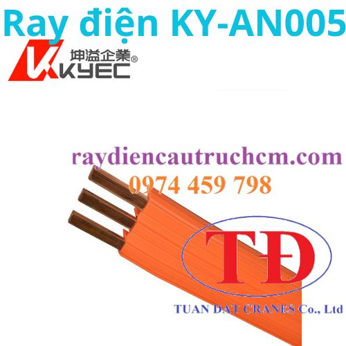 ray-dien-cau-truc-kyec-ky-an-3005