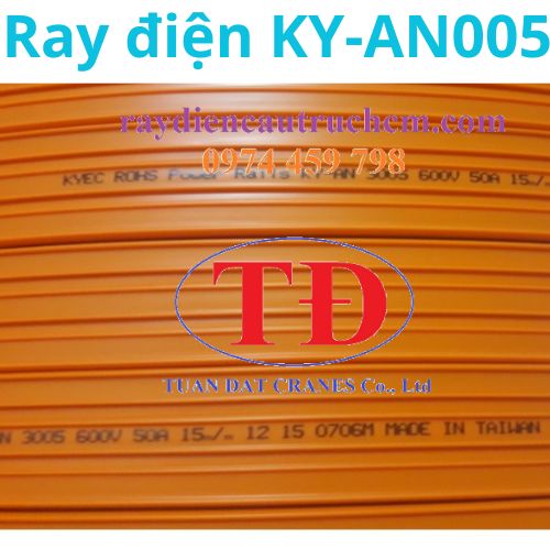 ray-dien-cau-truc-kyec-ky-an-3005